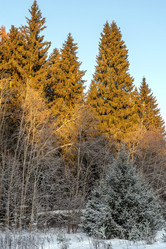 Similar image 21686919