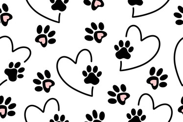 Similar image 21700767