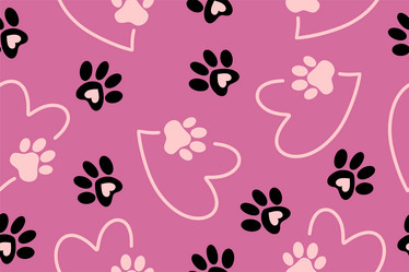 Similar image 21700768