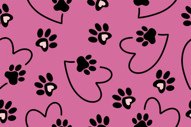 Similar image 21700770