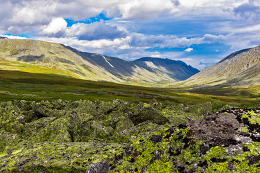 Similar image 21688101