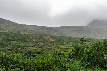 Similar image 21688102