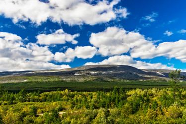 Similar image 21688107