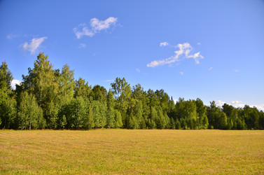 Similar image 21686930