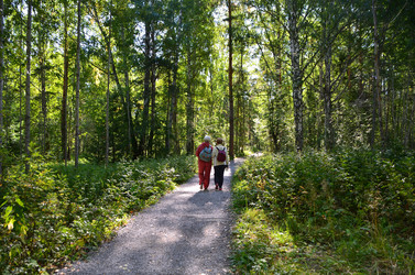 Similar image 21686931