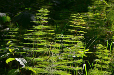 Similar image 21686932