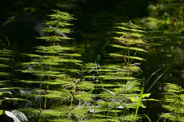 Similar image 21686933