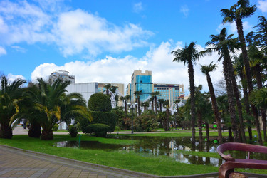 Similar image 21686934