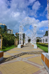 Similar image 21686941