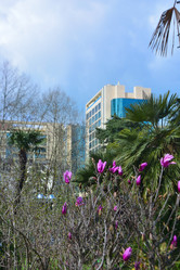 Similar image 21686945