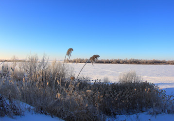 Similar image 21686950