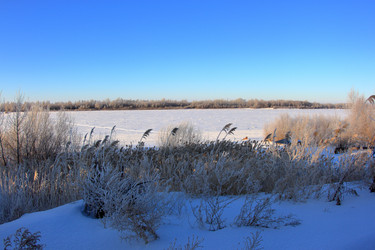 Similar image 21686952