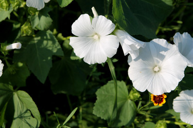 Similar image 21694073