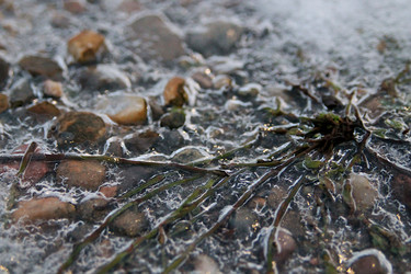 Similar image 21694075