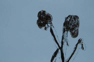 Similar image 21694076