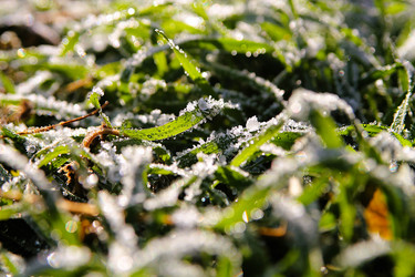 Similar image 21694077