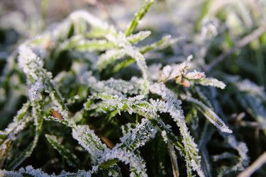 Similar image 21694079