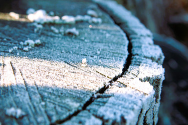 Similar image 21694081