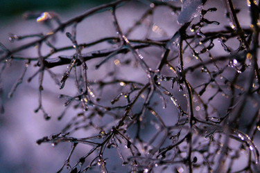 Similar image 21694086