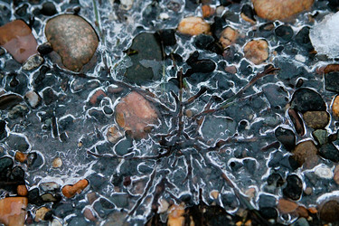 Similar image 21694088