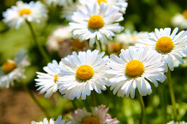 Similar image 21694092