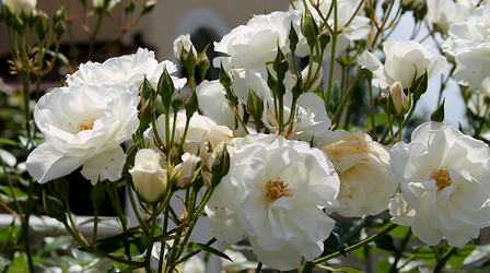 Similar image 21694094