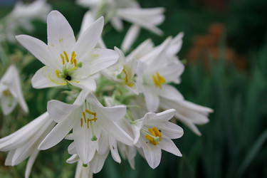 Similar image 21694096