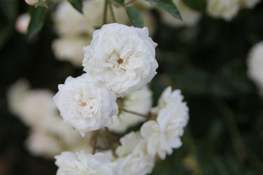 Similar image 21694098