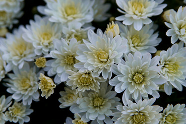 Similar image 21694103