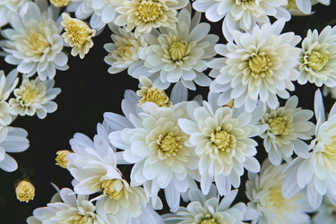 Similar image 21694104