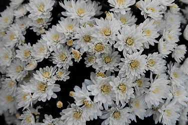 Similar image 21694107