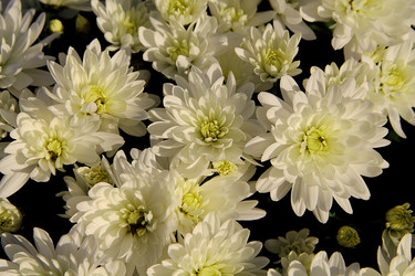 Similar image 21694109