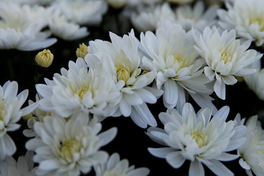 Similar image 21694110