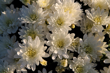 Similar image 21694115