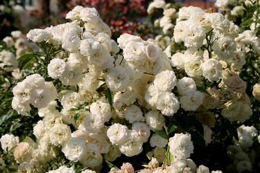 Similar image 21694117