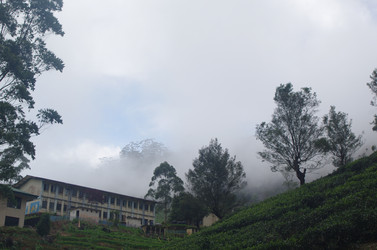 Similar image 21688680