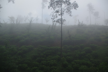 Similar image 21688681