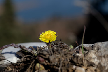 Similar image 21697299