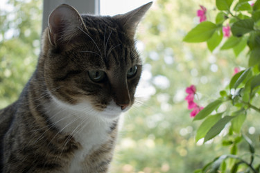 Similar image 21690166