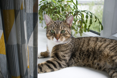 Similar image 21690167