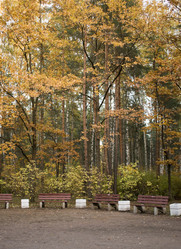 Similar image 21690555