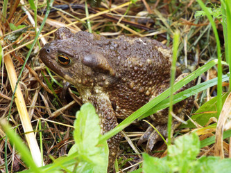 Similar image 21690556