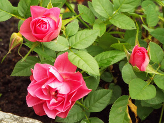 Similar image 21690169