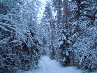 Similar image 21690171