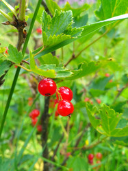 Similar image 21690175