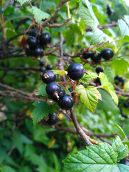 Similar image 21690176