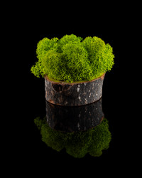 Similar image 21688512