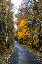 Similar image 21686737