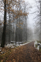 Similar image 21688308