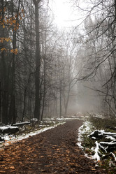 Similar image 21686739